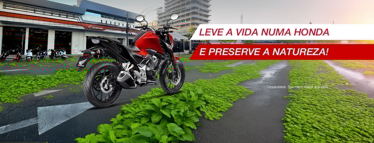 Preserve a mata atlântica