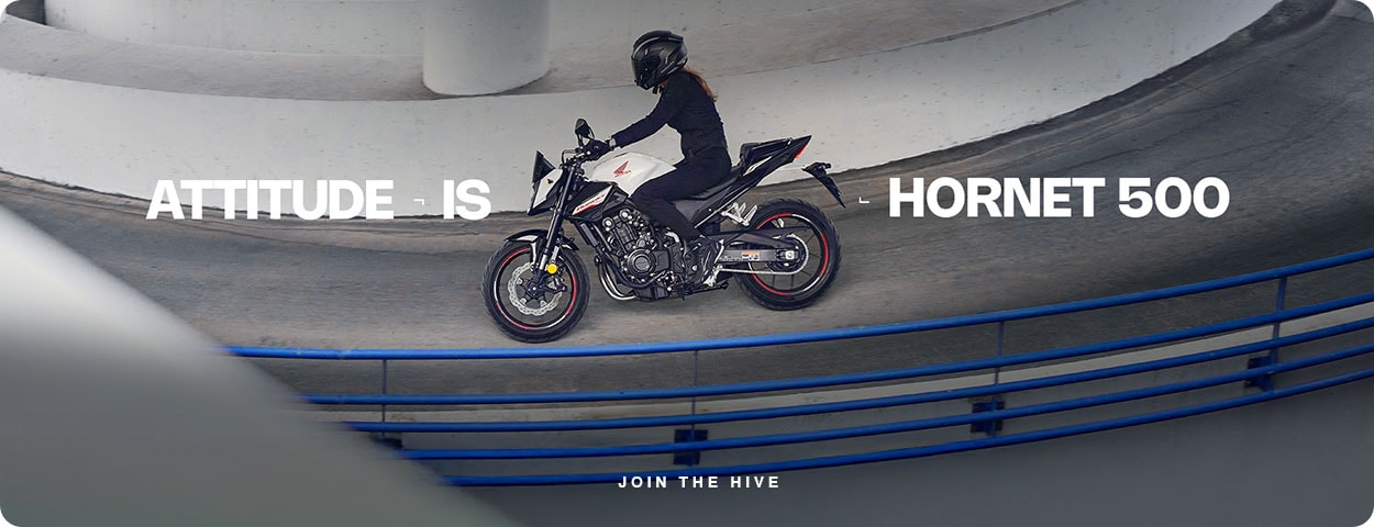 Hornet 500