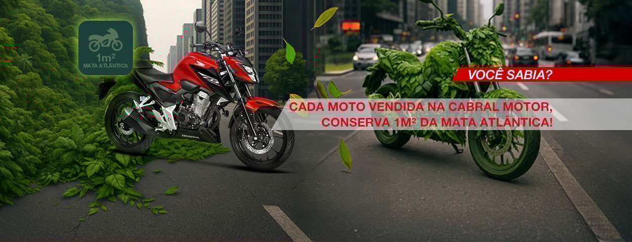 Preserve a mata atlântica