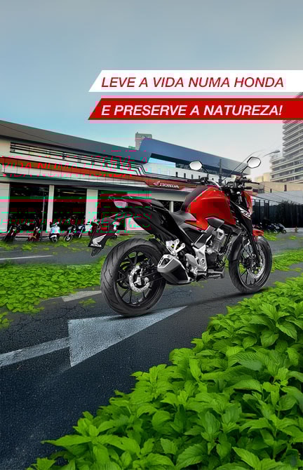 Preserve a mata atlântica