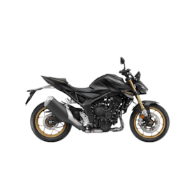 HORNET 1000 SP