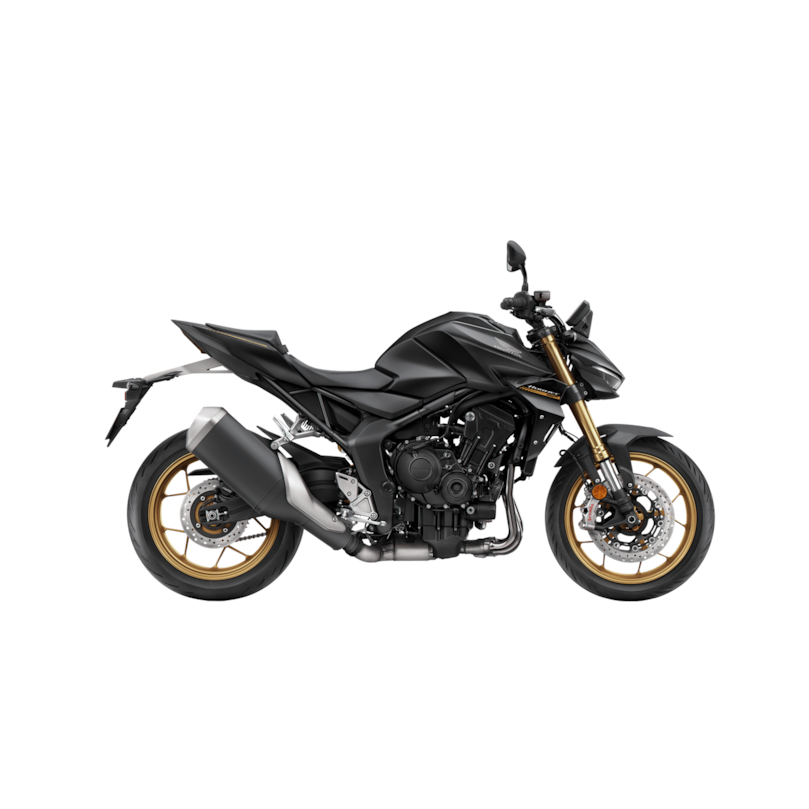Imagem da HORNET 1000 SP