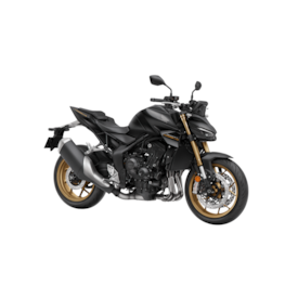 Segunda imagem do produto HORNET 1000 SP