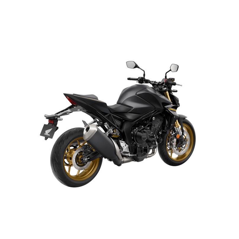 Imagem da HORNET 1000 SP