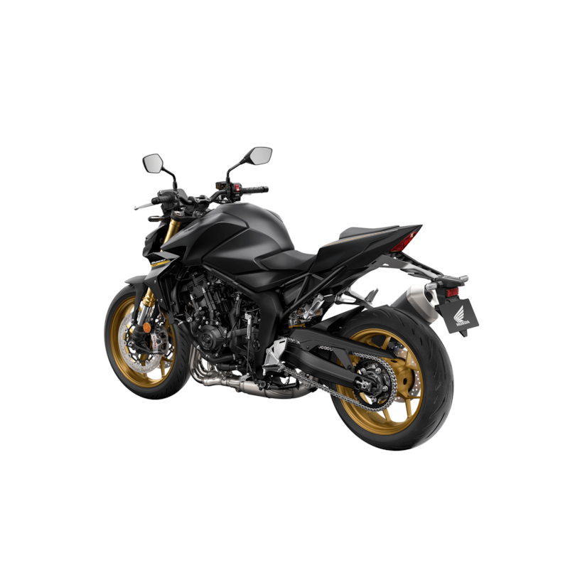 Imagem da HORNET 1000 SP