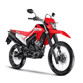 Segunda imagem do produto XR 300L TORNADO